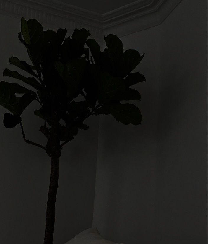 ๐ ๐จ๐ง๐ฅ๐ฒ ๐ฌ๐๐ ๐ฆ๐ฒ ๐ ๐จ๐๐ฅ๐ฌ, ๐ ๐๐จ๐งโ๐ญ ๐๐๐ฅ๐ข๐๐ฏ๐ ๐ข๐ง ๐๐๐ข๐ฅ๐ฎ๐ซ๐โฆ
